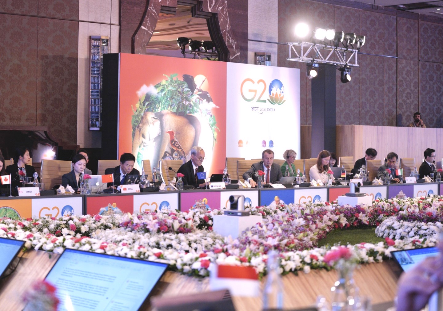 3rd-disaster-risk-reduction-working-group-meeting-chennai